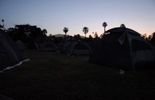 Enlarge photo 37