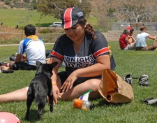 Enlarge photo 48
