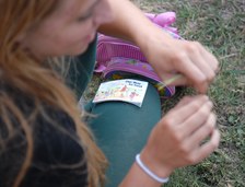 Enlarge photo 29