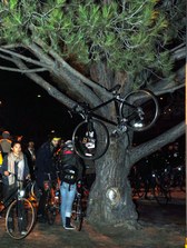 Enlarge photo 21