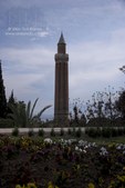 Enlarge photo 17
