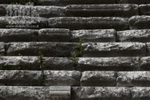 Enlarge photo 51