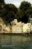 Enlarge photo 56