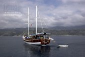 Enlarge photo 58