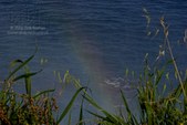 Enlarge photo 61