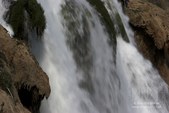 Enlarge photo 63