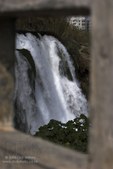 Enlarge photo 64