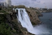 Enlarge photo 62