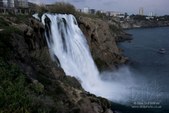 Enlarge photo 65