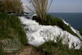 Enlarge photo 67