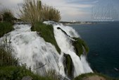Enlarge photo 68