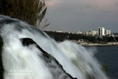 Enlarge photo 70