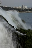 Enlarge photo 71
