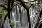 Enlarge photo 72