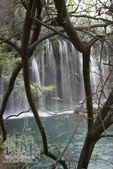 Enlarge photo 73