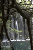 Enlarge photo 74