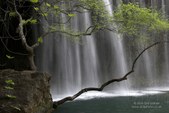 Enlarge photo 75