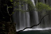 Enlarge photo 76