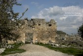 Enlarge photo 78