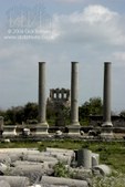 Enlarge photo 79