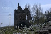 Enlarge photo 80