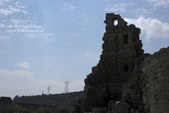 Enlarge photo 81