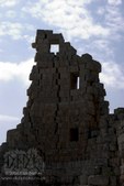 Enlarge photo 82