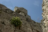 Enlarge photo 92