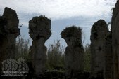 Enlarge photo 93