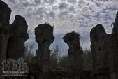 Enlarge photo 94