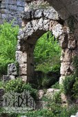 Enlarge photo 95