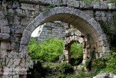 Enlarge photo 96