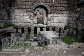 Enlarge photo 98