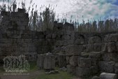 Enlarge photo 100