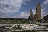 Enlarge photo 102