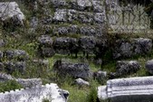 Enlarge photo 105