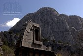Enlarge photo 106