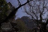 Enlarge photo 107