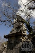 Enlarge photo 108