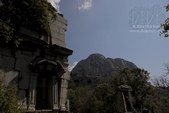 Enlarge photo 111
