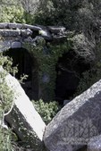 Enlarge photo 112