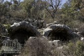 Enlarge photo 114