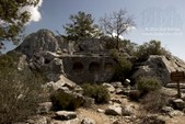 Enlarge photo 116