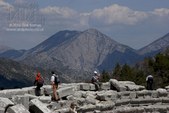 Enlarge photo 121