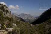 Enlarge photo 122