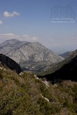 Enlarge photo 123