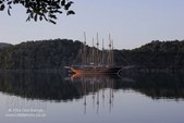 Enlarge photo 124