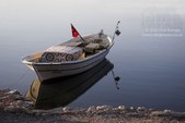 Enlarge photo 128