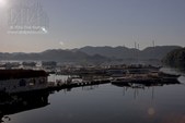 Enlarge photo 130