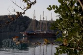 Enlarge photo 131